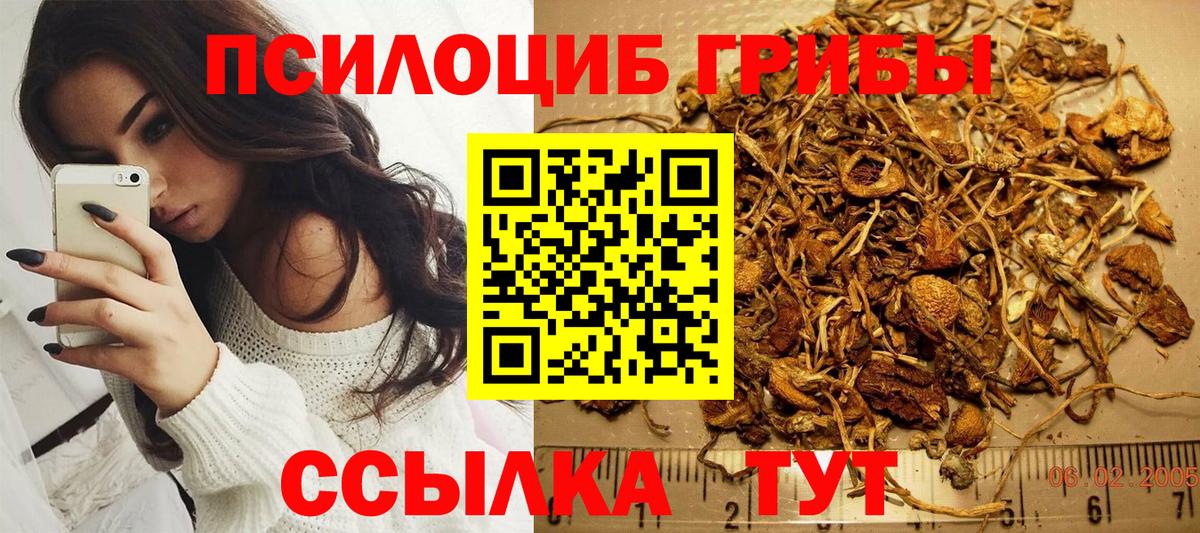 Балашиха  Псилоцибиновые грибы Psilocybe  закладка  Вход с VPN 