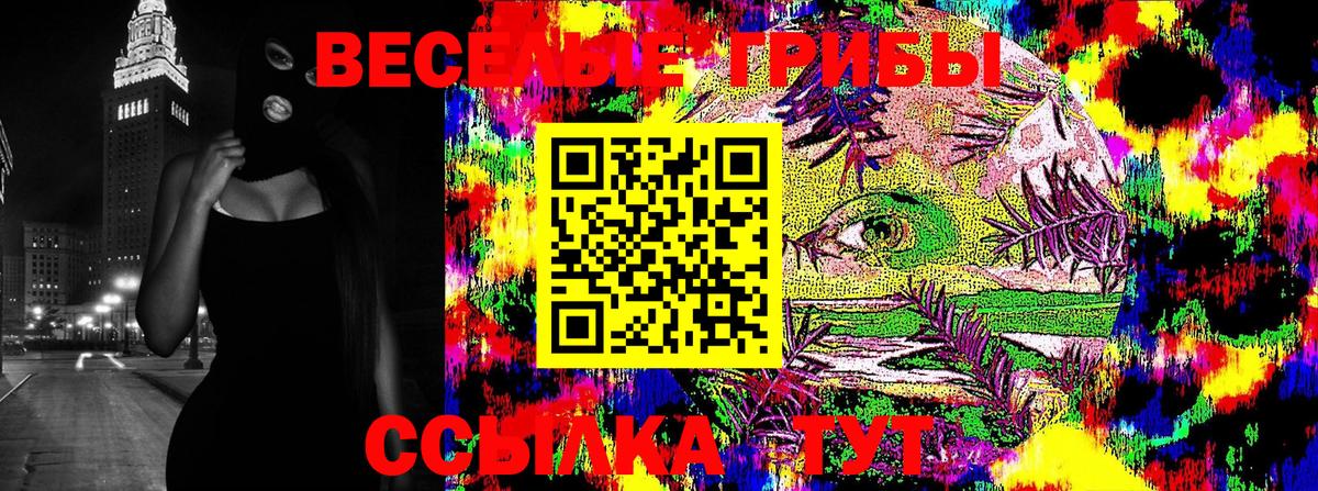 Псилоцибиновые грибы мухоморы Балашиха